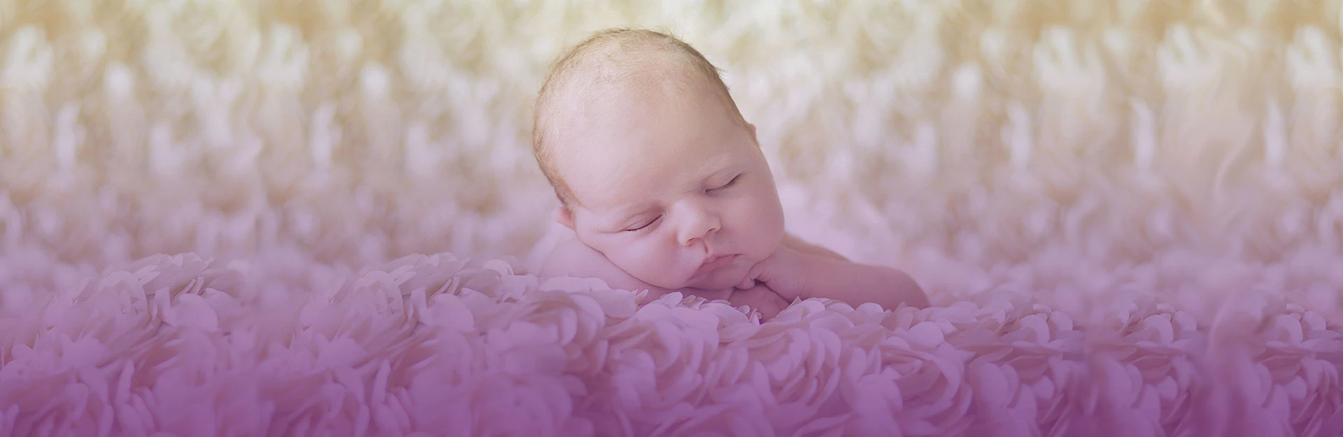 About Lyla Rose Dream Nursery